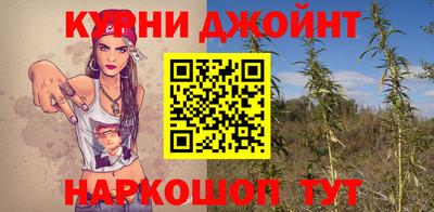 гашик Гусь-Хрустальный