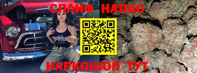 гашик Гусь-Хрустальный