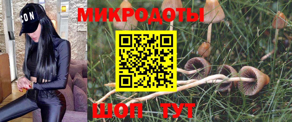 Псилоцибиновые грибы мухоморы  Вход с VPN  Менделеевск 