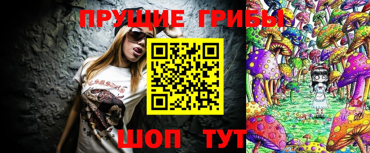Псилоцибиновые грибы Psilocybe Менделеевск